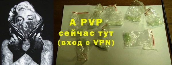 тгк Богородицк