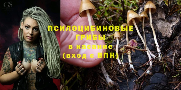 каннабис Тавда