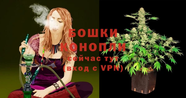 ПСИЛОЦИБИНОВЫЕ ГРИБЫ Богородск