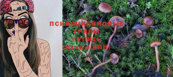 гидропоника Богданович